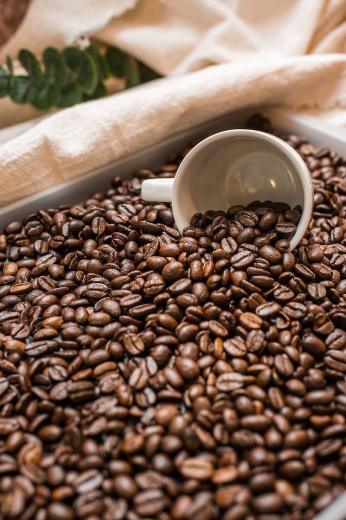 Cara Membuat Kopi Arabika - Tekun Indonesia
