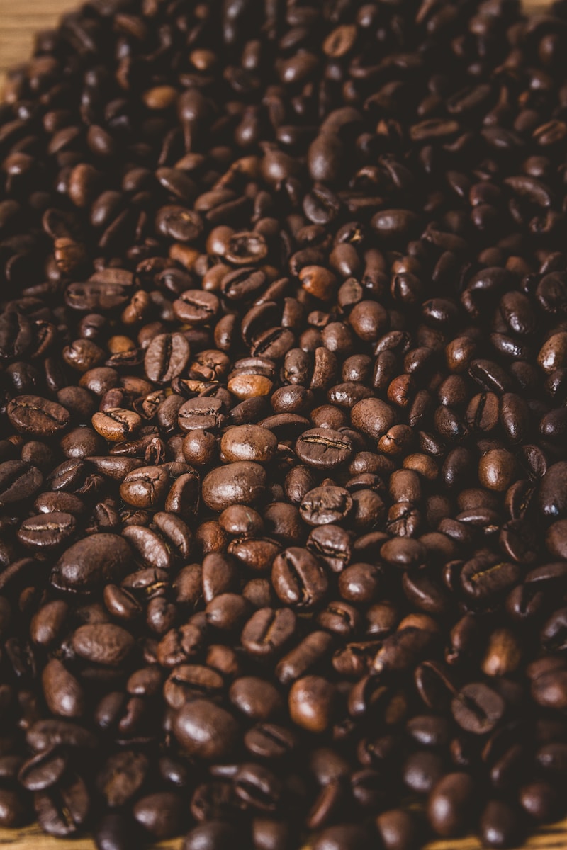 coffee beans in close up photography